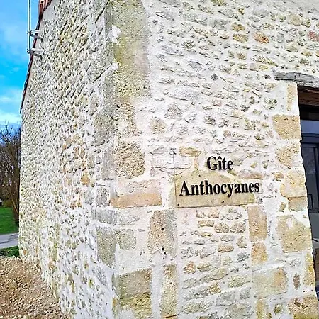 D'hotes Chateau Pierre De Montignac 3* Vendays-Montalivet