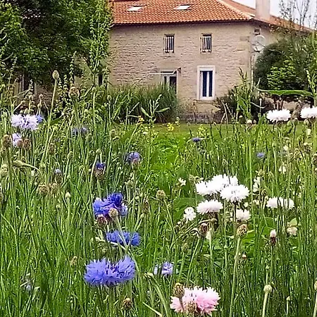 D'hotes Chateau Pierre De Montignac
