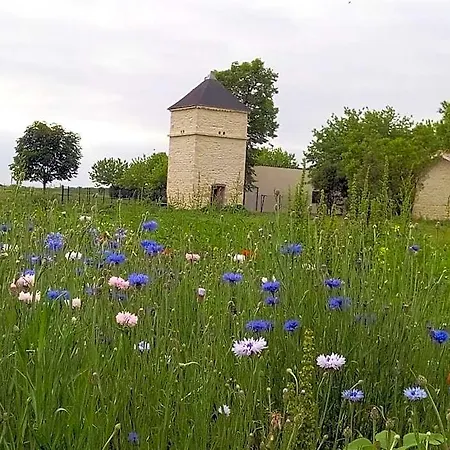 D'hotes Chateau Pierre De Montignac